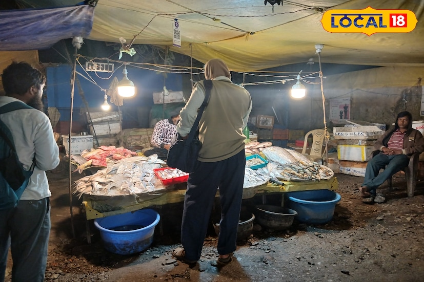 বর্ধমানের স্টেশন বাজারে নানান ধরনের মিলছে এই বিশাল আকার ভেটকি মাছ। যার ওজন প্রায় ১৩ কেজি। দাম প্রতি কেজি প্রায় ৭০০ থেকে ৭৫০ টাকা। এছাড়াও রয়েছে ১০ কেজি ও ১২ কেজি ওজনের ভেটকি।