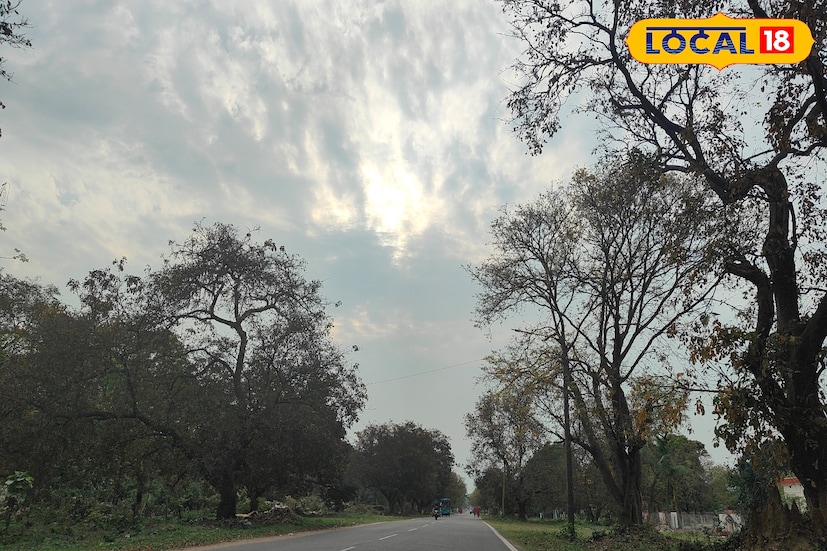 *আপাতত রাজ্যের আকাশ শুষ্ক থাকবে। কোথাও বৃষ্টি হবে না। শুষ্ক আবহাওয়ায় শীত বাড়বে। ঘন কুয়াশার চাদরে ঢাকবে দক্ষিণের জেলাগুলি। জেলা পুরুলিয়াতে শীতের প্রভাব বাড়বে ধীরে ধীরে।