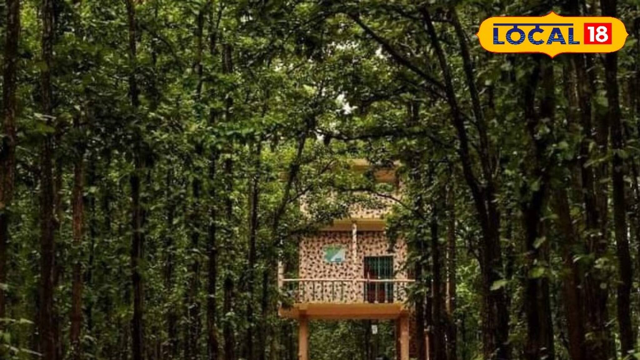 Bankura News: বিশ্ব মৃত্তিকা দিবসে বাঁকুড়ার এই মাটির কথা না জানলে ভুল হবে! লাল মাটির ম্যাজিক্যাল গুণ জেনে নিন