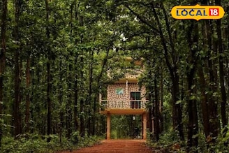 বাঁকুড়ার লাল মাটিতে 'ম্যাজিক'! বিশ্ব মৃত্তিকা দিবসে এই জাদুর কথা অবশ্যই জানুন