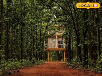 বাঁকুড়ার লাল মাটিতে 'ম্যাজিক'! বিশ্ব মৃত্তিকা দিবসে এই জাদুর কথা অবশ্যই জানুন