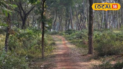 শীতের আমেজ নিতে নতুন তিনটি বনাঞ্চলে পিকনিকের অনুমোদন