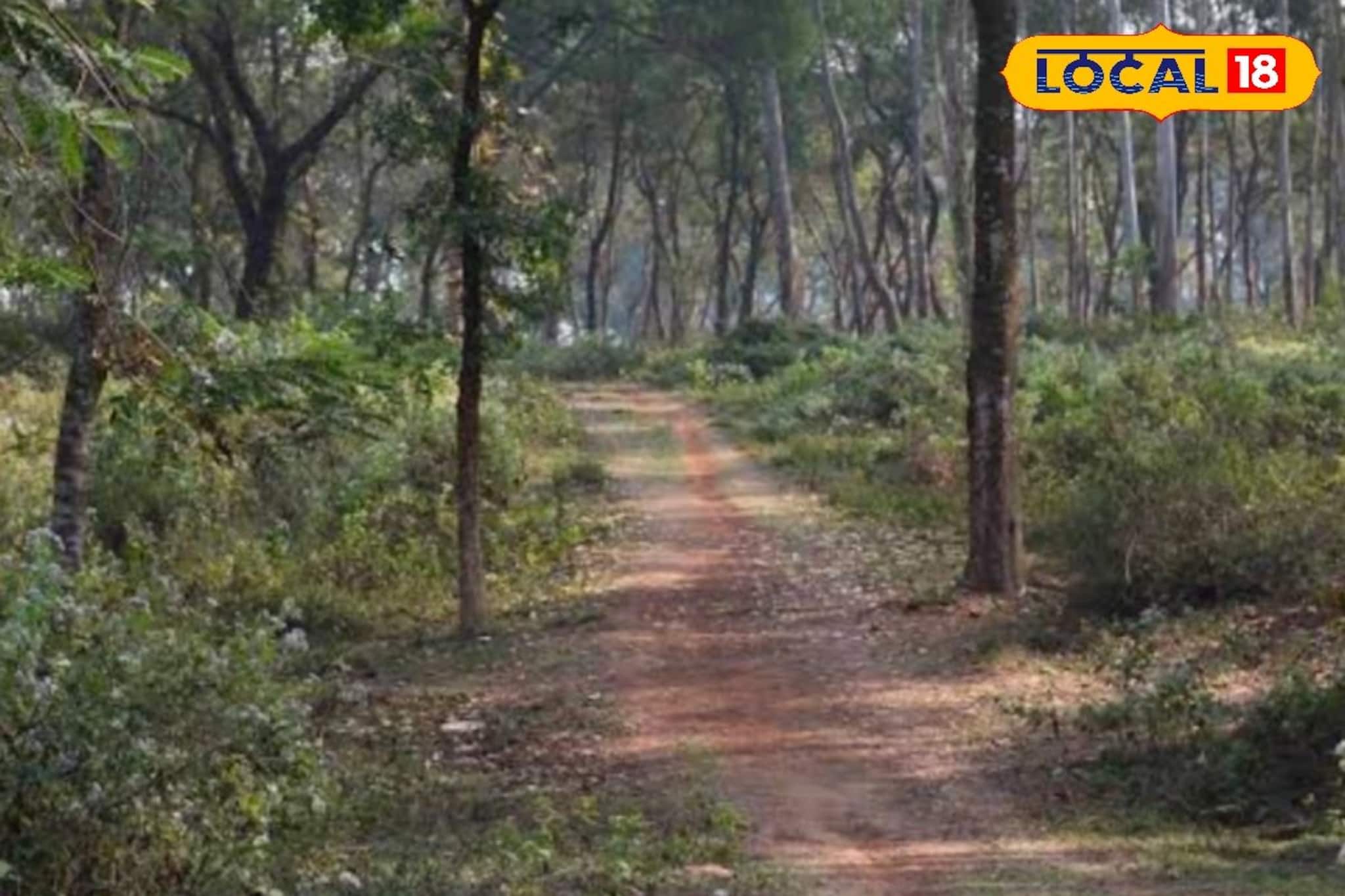 Picnic Spot: পিকনিক স্পট খুঁজছেন? হুগলিতেই রয়েছে নিরিবিলি রাঙামাটির জঙ্গল, নদীর ধারে বসিয়ে ফেলুন খানাপিনার জমাটি আসর