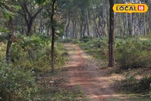 Picnic Spot: পিকনিক স্পট খুঁজছেন? হুগলিতেই রয়েছে নিরিবিলি রাঙামাটির জঙ্গল, নদীর ধারে বসিয়ে ফেলুন খানাপিনার জমাটি আসর