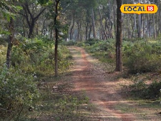 পিকনিক স্পট খুঁজছেন? হুগলিতেই রয়েছে নদীর ধারে নিরিবিলি রাঙামাটির জঙ্গল