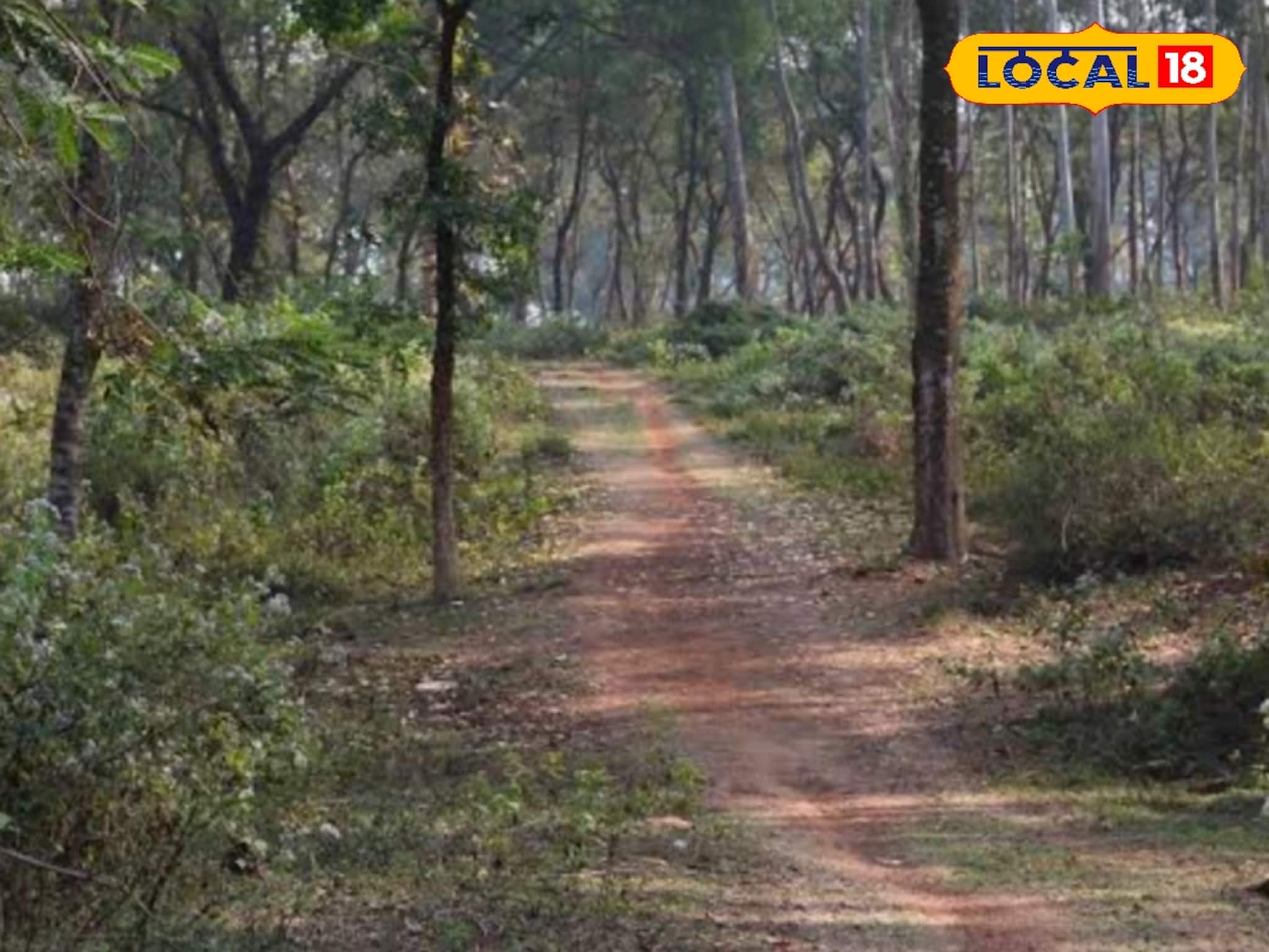 পিকনিক স্পট খুঁজছেন? হুগলিতেই রয়েছে নদীর ধারে নিরিবিলি রাঙামাটির জঙ্গল