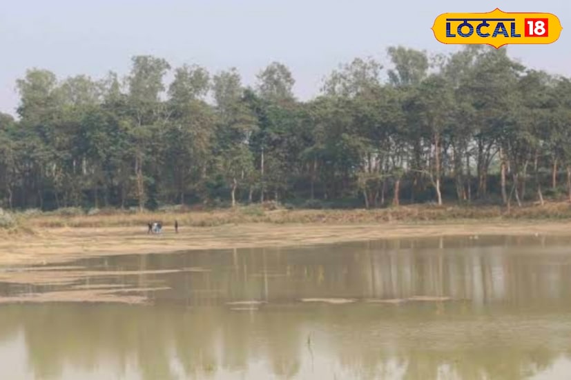 হুগলি: ভ্রমণ প্রীয় বাঙালিদের জন্য খুশির খবর। হুগলি জেলায় তিনটি নতুন বনাঞ্চলের ঘোষণা করা হয়েছে। চাঁদুর ফরেস্টে পিকনিকে নিষেধাজ্ঞা রেখেছে বন দফতর। তবে শর্তসাপেক্ষে আরামবাগ ও গোঘাটের তিন বনাঞ্চলে পিকনিকের অনুমোদন মিলবে। হুগলি: ভ্রমণ প্রীয় বাঙালিদের জন্য খুশির খবর। হুগলি জেলায় তিনটি নতুন বনাঞ্চলের ঘোষণা করা হয়েছে। চাঁদুর ফরেস্টে পিকনিকে নিষেধাজ্ঞা রেখেছে বন দফতর। তবে শর্তসাপেক্ষে আরামবাগ ও গোঘাটের তিন বনাঞ্চলে পিকনিকের অনুমোদন মিলবে।