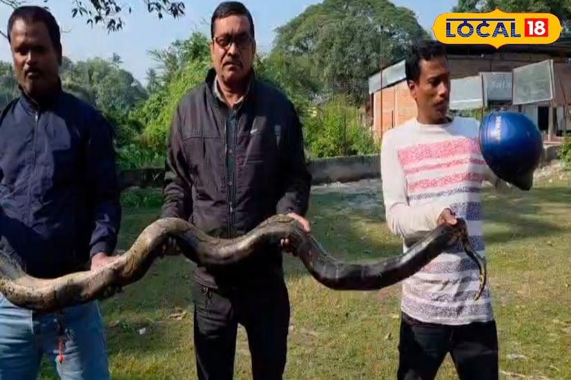 সবচেয়ে ভীত অবস্থায় রয়েছে সেই পরিবার, যাদের বাড়ির সামনে থেকেই বারবার অজগর উদ্ধার করা হচ্ছে। পরিবারের এক সদস্য বলেন, “প্রতিদিন রাতে ঘুম হয় না। না জানি আবার কখন সাপ বেরিয়ে আসে। এলাকা ছেড়ে যাওয়ার উপক্রম হয়েছে। না হলে প্রাণ নিয়ে টানাটানি হবে। তাদের দাবি, বনদফতরের জরুরি হস্তক্ষেপ ছাড়া পরিস্থিতি নিয়ন্ত্রণে আনা কঠিন। ইতিমধ্যে বনদফতর স্বেচ্ছাসেবী সংগঠনগুলির সাহায্য চেয়ে যৌথ নজরদারির কাজ শুরু করেছে। এলাকায় আরও অজগর রয়েছে কি না, তা খতিয়ে দেখারও উদ্যোগ নেওয়া হয়েছে।