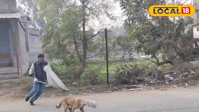 কুকুরের ছবি