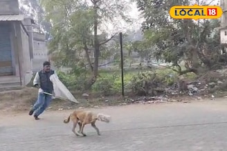 দেখলে কান্না পাবে, মুখে আটকে প্লাস্টিকের কৌটো! আমিরের উদ্যোগে প্রাণ বাঁচল মা ও ৬ ছানার