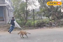 Dog Lover: দেখলে কান্না পাবে, মুখে আটকে প্লাস্টিকের কৌটো! আমিরের উদ্যোগে প্রাণ বাঁচল মা ও ৬ ছানার