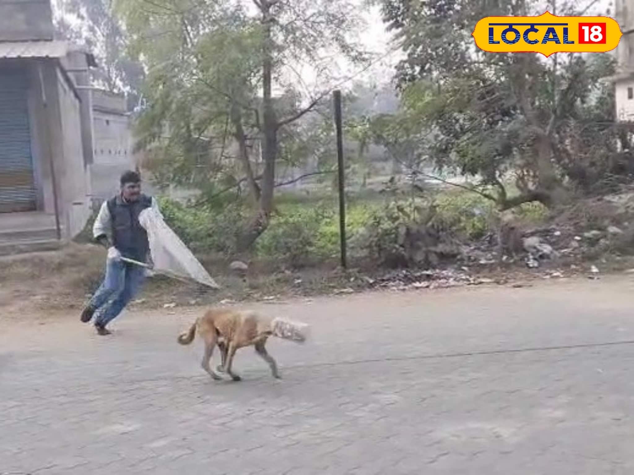 Dog Lover: দেখলে কান্না পাবে, মুখে আটকে প্লাস্টিকের কৌটো! আমিরের উদ্যোগে প্রাণ বাঁচল মা ও ৬ ছানার