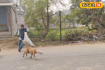 দেখলে কান্না পাবে, মুখে আটকে প্লাস্টিকের কৌটো! আমিরের উদ্যোগে প্রাণ বাঁচল মা ও ৬ ছানার দেখলে কান্না পাবে, মুখে আটকে প্লাস্টিকের কৌটো! আমিরের উদ্যোগে প্রাণ বাঁচল মা ও ৬ ছানার