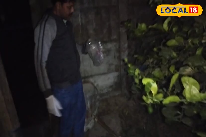 খবর পাওয়ামাত্রই ঘটনাস্থলে যান আমির কিন্তু সারাদিন খোঁজাখুঁজির পরও প্রথম খোঁজ মেলেনি কুকুরটির। এলাকাবাসীদের কাছ থেকে তিনি জানতে পারেন মা কুকুরটি সদ্য ছটি বাচ্চা হয়েছে। তাই প্রথম তিনি বাচাগুলোকে খুঁজে বের করে নিরাপদ জায়গায় রাখে এবং দ্বিতীয় দিন মা কুকুর থেকে খুঁজে বের করেন। অবশেষে দীর্ঘ প্রচেষ্টার পর কৌটোটি বের করা সম্ভব হয়।