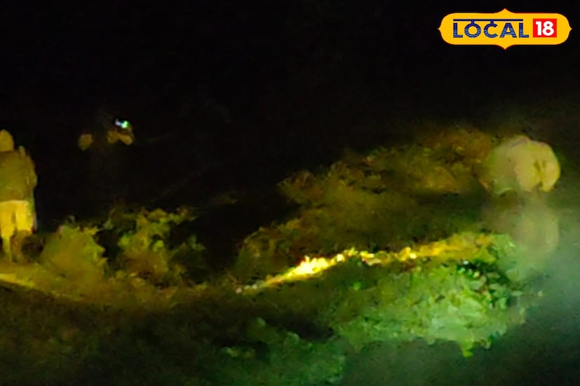 মুর্তি নদীতে একশৃঙ্গ গণ্ডারকে দেখা যায় রাতে। জলপাইগুড়ি জেলার অন্তর্গত রামশাই গ্রাম। গরুমারা জাতীয় উদ্যান সংলগ্ন এলাকায় ঘটনাটি ঘটেছে। আর সেই গ্রামে হঠাৎই একটি গন্ডার দেখা যায় বলেই জানা যায়। শীতের কুয়াশার মধ্যে দেখা যায় গন্ডারকে। আর গন্ডার তাড়াতে ছুটে আসে বন দফতরের আধিকারিকরা।