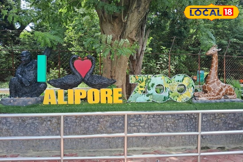 ডিসেম্বরের প্রথম রবিবার রেকর্ড ভিড় আলিপুর চিড়িয়াখানায়। ২০ হাজার ছাড়াল দর্শক সংখ্যা। এরফলে বছর শেষের দিনগুলিতে আরও ভিড় বাড়বে বলে ধারণা করা হচ্ছে। ফলে খুশি সকলেই। (ছবি ও তথ্য: নবাব মল্লিক) ডিসেম্বরের প্রথম রবিবার রেকর্ড ভিড় আলিপুর চিড়িয়াখানায়। ২০ হাজার ছাড়াল দর্শক সংখ্যা। এরফলে বছর শেষের দিনগুলিতে আরও ভিড় বাড়বে বলে ধারণা করা হচ্ছে। ফলে খুশি সকলেই। (ছবি ও তথ্য: নবাব মল্লিক)