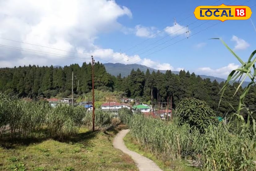 *চায়ের দেশ দার্জিলিংয়ে এলে চিমেনি ঘুরে দেখা যেন অবশ্যকর্তব্য। কারণ এখান থেকেই পূর্ব ভারতের বিখ্যাত কয়েকটি চা-বাগান—ক্যাসলটন, মন্টেভিওট, সিঙ্গেল এবং মাকাইবাড়ি টি এস্টেট সহজেই ঘুরে দেখা যায়। শতবর্ষ প্রাচীন ঐতিহ্য আর প্রকৃতির অপার সৌন্দর্য মিলিয়ে চিমেনি ধীরে ধীরে হয়ে উঠছে কার্শিয়ংয়ের জনপ্রিয় পর্যটন কেন্দ্র।