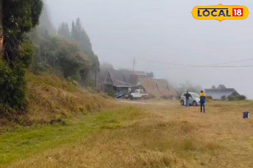 *ট্রেকিংপ্রেমীদের জন্য চিমেনি বিশেষ জনপ্রিয়। এখান থেকে মাত্র ৮ কিলোমিটার ট্রেক করেই পৌঁছনো যায় বাগোড়া। একদিনের ভ্রমণে কাছেই অবস্থিত চাতকপুর, যেখান থেকে হিমালয়ের মনোহর দৃশ্য মন জুড়িয়ে দেয়। পাশাপাশি ডাউহিল ডিয়ার পার্ক, বন জাদুঘর এবং নেতাজি সুভাষ চন্দ্র বসু জাদুঘরও পর্যটকদের আকর্ষণ করে।