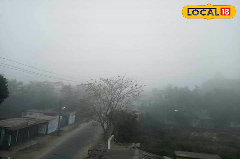 কোচবিহার ও মেখলিগঞ্জ–দিনহাটার দিকে ভোরের দিকে কুয়াশা ঘন, দৃশ্যমানতা কমে আসছে। তবে দিনের তাপমাত্রা এখনও ২৪–২৬ ডিগ্রি সেলসিয়াসের মধ্যে ওঠানামা করছে। কৃষকদের জন্য এই আবহাওয়া সুবিধাজনক হলেও, রাতের শীত কিছু রবি-ফসলে প্রভাব ফেলতে পারে বলে জানিয়েছেন কৃষি দফতরের আধিকারিকরা। ছবি ও তথ্য : ঋত্বিক ভট্টাচার্য