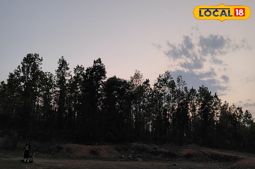 কনকনে শীতের প্রভাব রয়েছে উত্তরে। উত্তরের কোচবিহার, জলপাইগুড়ি, আলিপুরদুয়ার ও দার্জিলিং-এ মাঝারি থেকে ঘন কুয়াশার সম্ভাবনা রয়েছে। সতর্কতা জারি রয়েছে এই সমস্ত জেলায়। ভরপুর শীতের আমেজ থাকবে উত্তরবঙ্গ জুড়ে। 