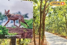 Picnic at Garh Jungle: এই শীতে গড় জঙ্গলে পিকনিক করতে যাবেন? রয়েছে বনদফতরের নানা নিষেধাজ্ঞা, না জেনে আসলে বিপদে পড়বেন