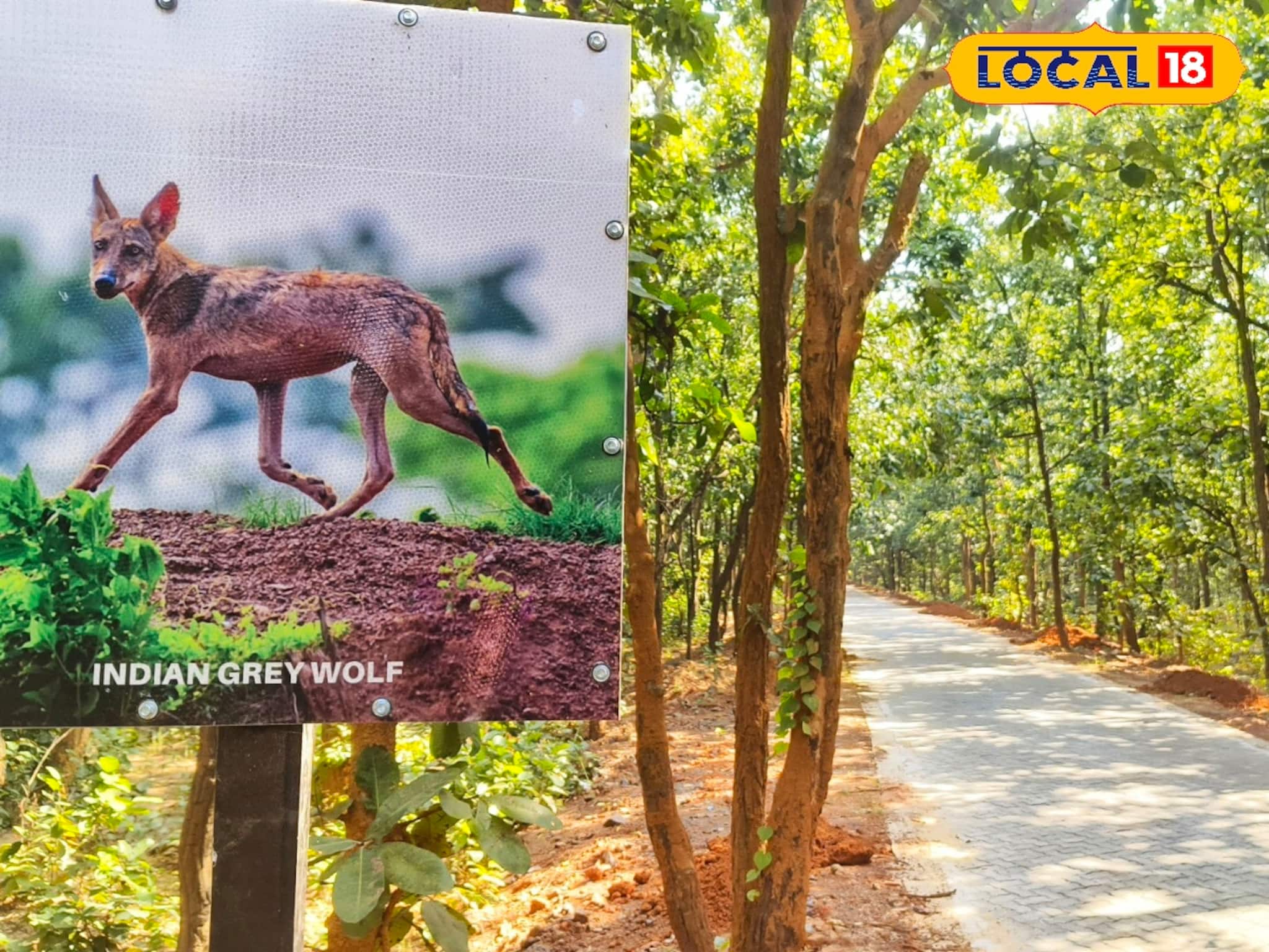 বন ও বন্যপ্রাণী রক্ষার্থে একাধিক নিষেধাজ্ঞা জারি বনদফতরের, গড় জঙ্গল ঘুরতে আসার আগে জেনে রাখুন 