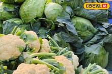 Vegetable Price Hike: ফুলকপি–বাঁধাকপির দামে আগুন, শীতের শুরুতেই সবজির চড়া দাম! কোন সবজি বিকোচ্ছে কততে? জানুন