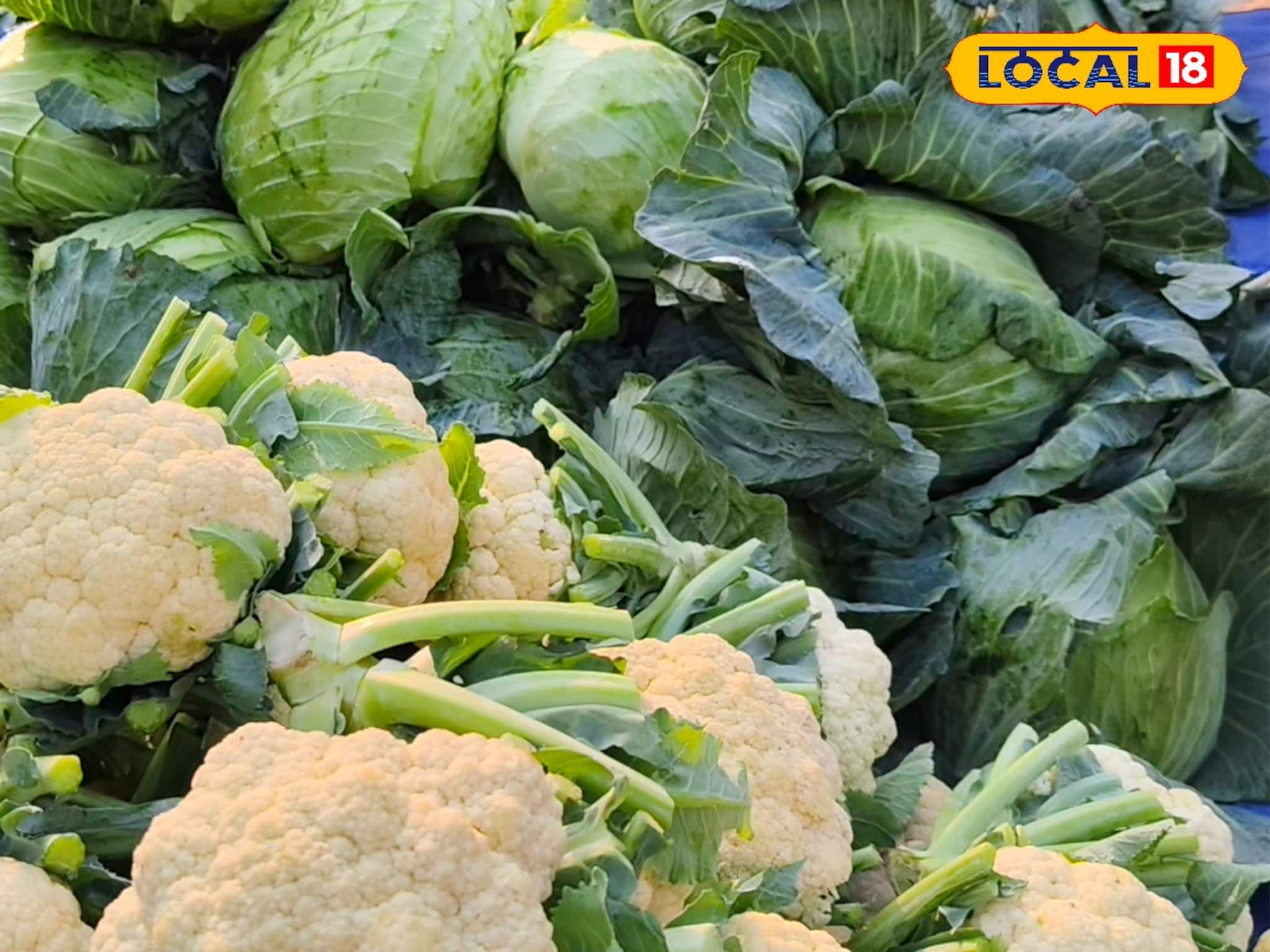 শীতের ভরা মরসুমেও ফুলকপি–বাঁধাকপির দামে আগুন! পকেটে টান পড়ছে মধ্যবিত্তের 