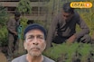 গাছ ভালবাসা, ৭৫ বছর বয়সেও বাগান থেকে হাজার হাজার টাকা রোজগার বৃদ্ধের
