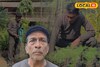 গাছ ভালবাসা, ৭৫ বছর বয়সেও বাগান থেকে হাজার হাজার টাকা রোজগার বৃদ্ধের