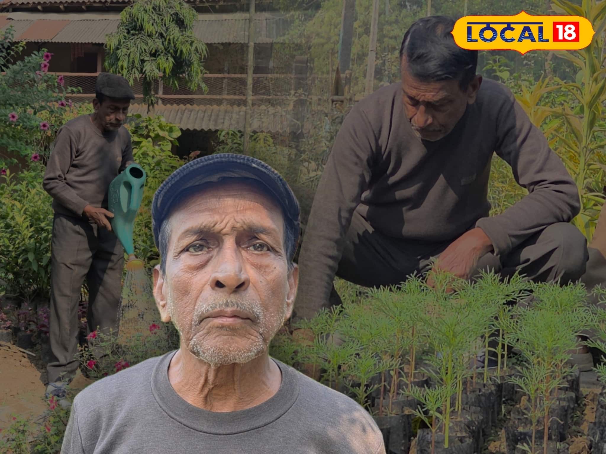 গাছ ভালবাসা, ৭৫ বছর বয়সেও বাগান থেকে হাজার হাজার টাকা রোজগার বৃদ্ধের
