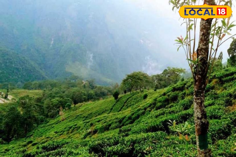 ১৯৮৬ সালের গোর্খাল্যান্ড আন্দোলনের সময় রুটটি বন্ধ হয়ে যাওয়ার পর রাগেরুং হোম স্টে অর্গানাইজেশন বহুবার পুনরুজ্জীবনের চেষ্টা করেও সফল হয়নি। এবার জিটিএ-র বিশেষ পরিকল্পনার অংশ হিসেবেই পুরনো পর্যটন রুটগুলিকে জীবন্ত করে তোলা হচ্ছে। তারই ফল হিসেবে এই গুরুত্বপূর্ণ ট্রেকিং পথ আবারও সক্রিয় হলো, যা শীতের মরশুমে দার্জিলিংয়ের পর্যটন অর্থনীতিতে বড় স্বস্তি এনে দেবে।