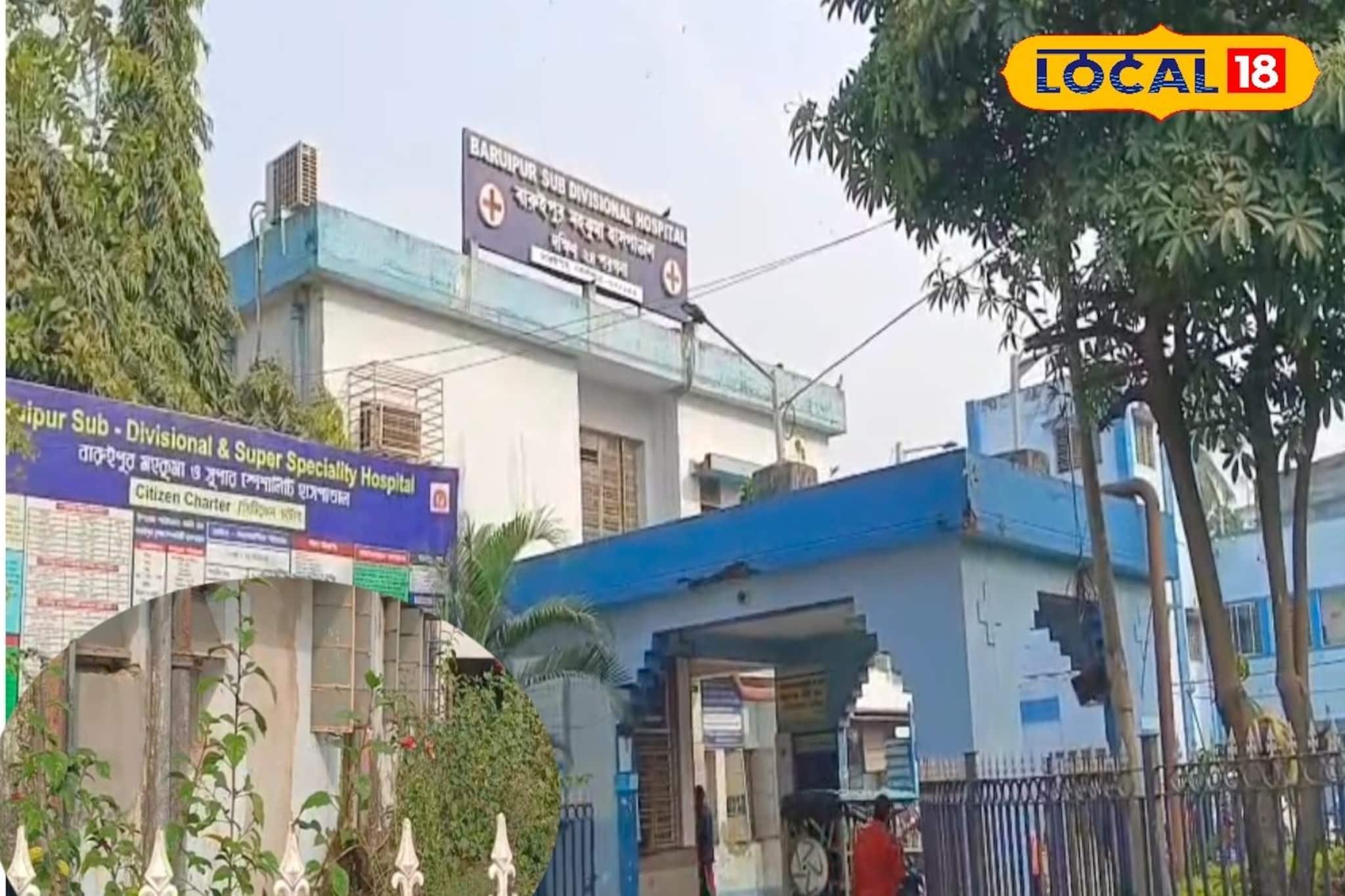 হাসপাতালের জরুরি পরিষেবা বিভাগ লাগোয়া বাগানে উদ্ধার সদ্যোজাত কন্যাশিশু! চাঞ্চল্য বারুইপুরে