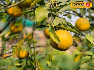 ভুটানের