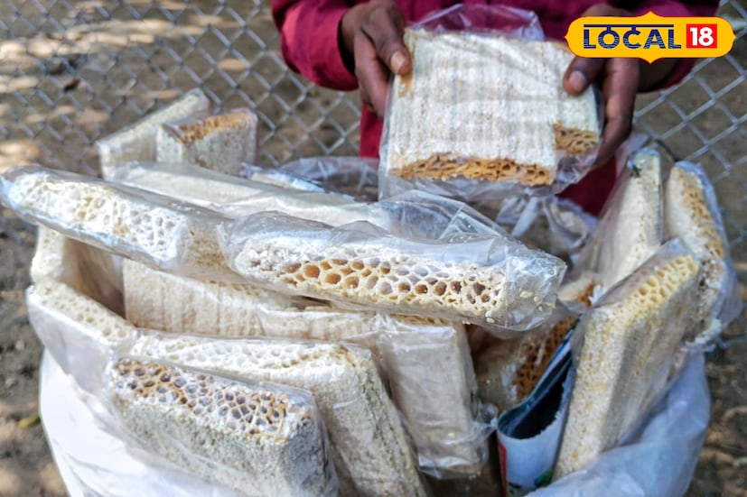 বাংলাদেশ ও পশ্চিমবঙ্গে তিলের খাজা সাধারণত চিনি ও তিল দিয়েই তৈরি হয়। কিন্তু নলেন গুড় দিয়ে তৈরি হলে তিলের খাজা খেতে আরও সুস্বাদু। এবার মুর্শিদাবাদের খাজা বিক্রেতারা চিনির পাশাপশি নলেন গুড় ও আখের গুড়ের তৈরি সুস্বাদু খাজা নিয়ে হাজির হয়েছেন। কড়া থেকে হালকা মিষ্টি স্বাদের রকমারি খাজার ব্যাপক চাহিদা বলে দাবি করেন খাজা বিক্রেতারা। তাঁরা কেবল বিক্রেতা নন, তাঁরাই খাজা তৈরির কারিগর। বংশপরম্পরায় পরিবারের সকলে খাজা তৈরি করে আসছেন