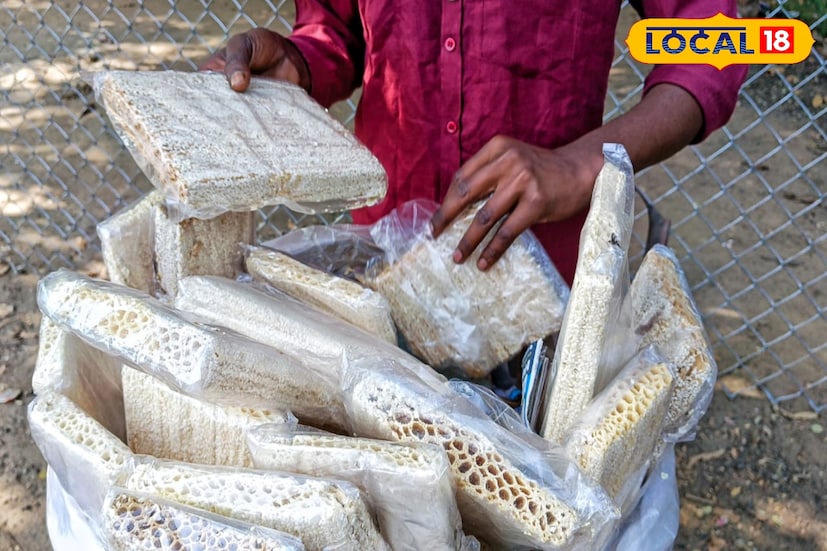 শহরে আসা খাজা বিক্রেতা বিশাল চৌধুরী জানান, জঙ্গিপুর এলাকায় এখনও বেশ কয়েকটি পরিবার খাজা তৈরি করেন। বর্তমানে অগ্নিমূল্যের বাজারে খাজার মূল্যও বৃদ্ধি পেয়েছে। চিনি দিয়ে তৈরি খাজার প্রতি কেজির দাম ৫০০ টাকা। নলেন গুড় ও আখের গুড়ের তৈরি খাজার দাম ৬০০ টাকা কেজি। তবে নলেন গুড়ের খাজার ব্যাপক চাহিদা রয়েছে শহরে৷ প্রতিদিন এক-একজন খাজা বিক্রেতা প্রায় ৫ কেজি করে খাজা বিক্রি করছেন বলে দাবি বিক্রেতাদের 