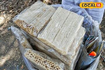 মুখে দিলেই অমৃত, কুষ্টিয়ার বিখ্যাত তিলের খাজা এবার দুর্গাপুরে