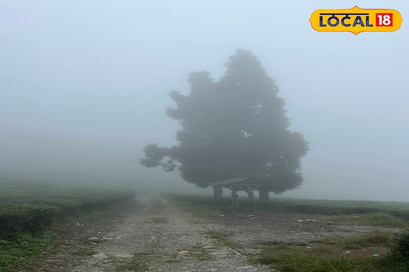 সামগ্রিকভাবে রাজ্যের প্রায় সব জেলাতেই আবহাওয়া স্বস্তিকর। শীতের দাপট দিনে বাড়বে, রাতে আরও অনুভূত হবে। আপাতত কোনও বৃষ্টি বা বড় ধরনের আবহাওয়া পরিবর্তনের সম্ভাবনা নেই বলে জানিয়েছে হাওয়া অফিস। ছবি ও তথ্য : ঋত্বিক ভট্টাচার্য