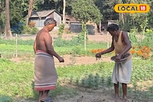 Money Making Ideas: লাভজনক বিকল্প চাষে বদলে গেল কৃষকদের ভাগ্য! ৩০ বিঘা জুড়ে রঙিন স্বপ্নের চাষ