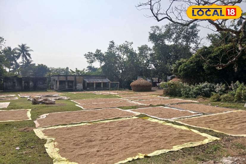 এই শীতের সময় হাওড়ার উদয়নারায়নপুর জেলার শস্য ভাণ্ডার হয়ে ওঠে নয়নাভিরাম রূপে। প্রকৃতির অনন্য সাজ, বর্তমান সময়ে যেন সব কিছুকে পিছনে ফেলে মন আকৃষ্ট করছে মানুষের। শীত বাড়ার সঙ্গে সঙ্গে এই সৌন্দর্য উপভোগ করতে বিভিন্ন প্রান্ত থেকে ছোট বড় সকলেই ভিড় জামাচ্ছে।