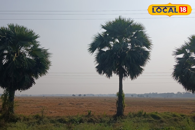 এই দৃশ্য ভ্রমণপিপাসু মানুষের ভীষণ আকর্ষণের। শীতের সময় হাওড়ার এই স্থান এখন বহু মানুষের মন ভাল করার ঠিকানা। এখানে এলে সোনার বাংলার ছবি ধরা পড়ে চোখে, যে কারণে শীতে মানুষের ভিড় জমে এখানে। (ছবি ও তথ্য: রাকেশ মাইতি) এই দৃশ্য ভ্রমণপিপাসু মানুষের ভীষণ আকর্ষণের। শীতের সময় হাওড়ার এই স্থান এখন বহু মানুষের মন ভাল করার ঠিকানা। এখানে এলে সোনার বাংলার ছবি ধরা পড়ে চোখে, যে কারণে শীতে মানুষের ভিড় জমে এখানে। (ছবি ও তথ্য: রাকেশ মাইতি)