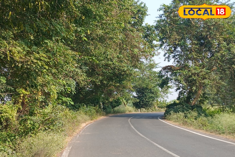 খোলা মাঠের বুক চিরে কালো পিচের মসৃণ রাস্তা। যেমন যোগাযোগ ব্যবস্থাকে সুগম করেছে এই সড়ক, তেমনই প্রকৃতিকে আরও সৌন্দর্য করে তুলেছে। রাস্তাকে আগলে রেখেছে বড় বড় গাছের সারি, তার দুই পাড়ে চাষের জমি। খোলা আকাশের নিচে স্নিগ্ধ বাতাস পেতে, শহরের ব্যস্ততা ভুলে যেতে সেখানেই ঢু মারছে মানুষ।