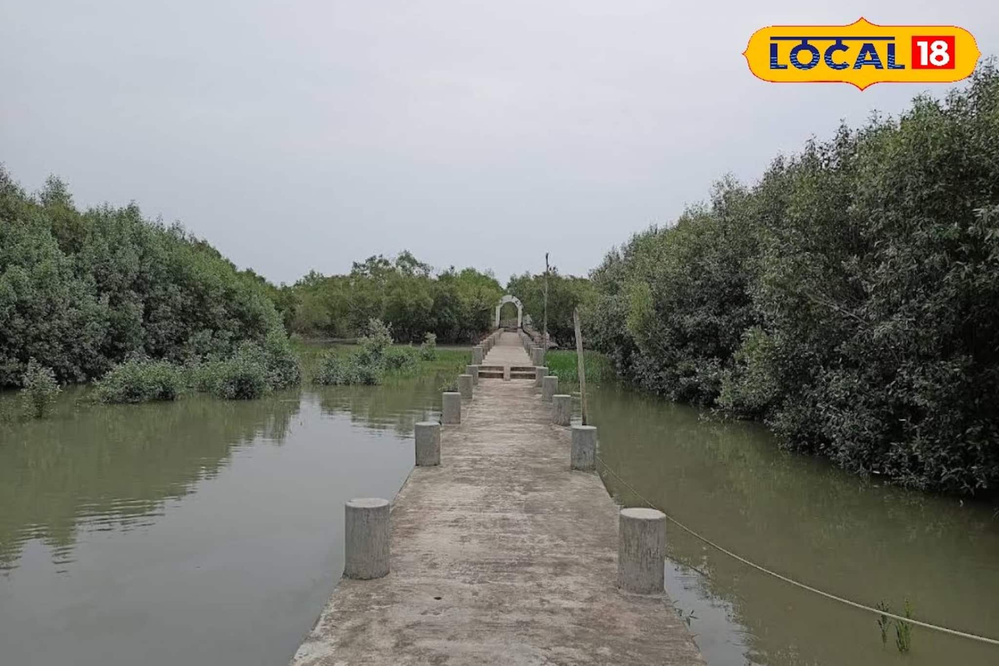 কুমির, জঙ্গল আর নদীমোহনা! শীতের সেরা অফবিট ডেস্টিনেশন লোথিয়ান দ্বীপ কুমির, জঙ্গল আর নদীমোহনা! শীতের সেরা অফবিট ডেস্টিনেশন লোথিয়ান দ্বীপ