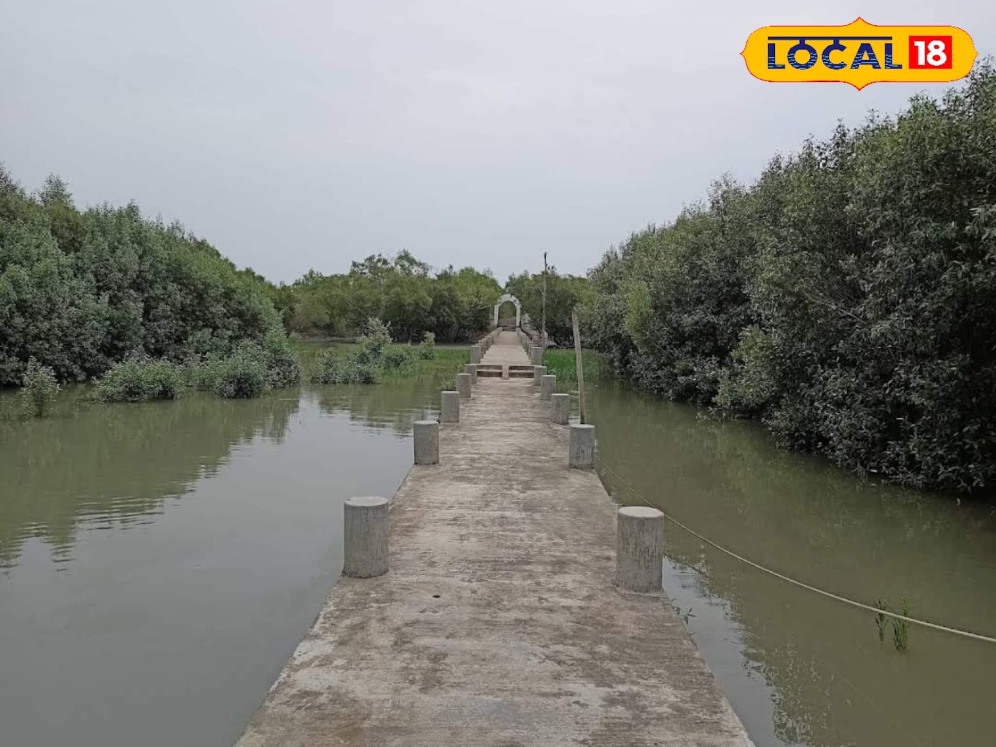 কুমির, জঙ্গল আর নদীমোহনা! শীতের সেরা অফবিট ডেস্টিনেশন লোথিয়ান দ্বীপ কুমির, জঙ্গল আর নদীমোহনা! শীতের সেরা অফবিট ডেস্টিনেশন লোথিয়ান দ্বীপ