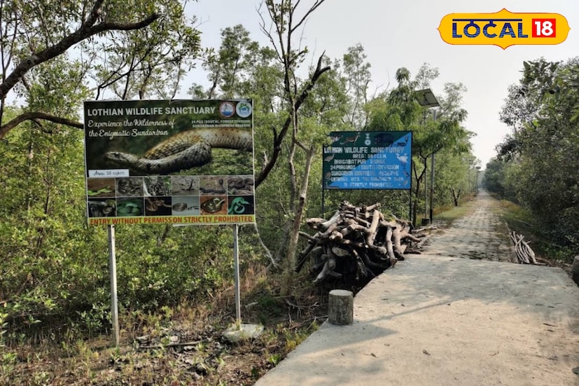 এই দ্বীপের প্রাকৃতিক সৌন্দর্যও দেখার মত। ১৯৪৮ সালে এই বনাঞ্চলটি প্রথম অভয়ারণ্য হিসেবে বিজ্ঞাপিত হয় এবং ১৯৭৬ সালে তা পুনরায় ঘোষিত হয়।