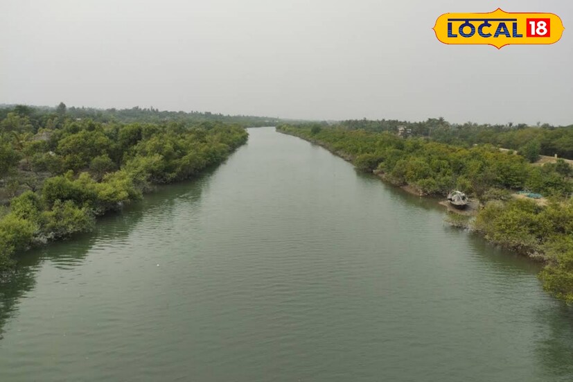 এই শীতে কুমির ও জঙ্গল দেখতে ঘুরে আসুন মায়াবী লোথিয়ান ও ভগবৎপুর থেকে। দু'টি জায়গা খুব কাছাকাছি। ভগবৎপুর কুমীর প্রকল্প দেখতে গিয়ে এই দ্বীপ থেকে ঘুরে আসতে পারেন আপনিও। (ছবি ও তথ্য: নবাব মল্লিক) এই শীতে কুমির ও জঙ্গল দেখতে ঘুরে আসুন মায়াবী লোথিয়ান ও ভগবৎপুর থেকে। দু'টি জায়গা খুব কাছাকাছি। ভগবৎপুর কুমীর প্রকল্প দেখতে গিয়ে এই দ্বীপ থেকে ঘুরে আসতে পারেন আপনিও। (ছবি ও তথ্য: নবাব মল্লিক)