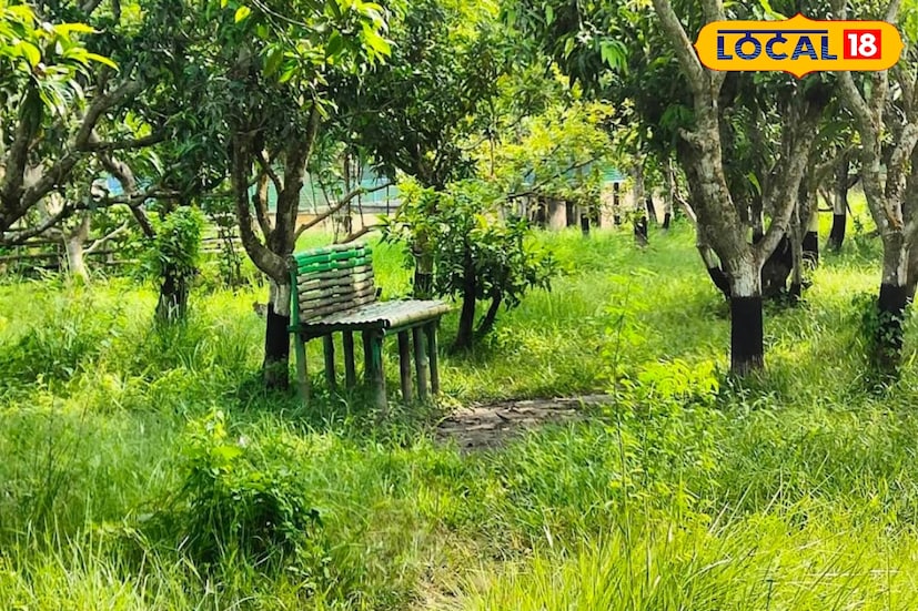 বর্তমানে পর্যটকদের কাছেও অত্যন্ত জনপ্রিয় হয়ে উঠেছে এই দ্বীপ। লোথিয়ান দ্বীপ এবং সপ্তমুখী নদীয় মোহনার সঙ্গমে তৈরি এই স্যানচুয়ারি। এই জায়গাটি খুব সুন্দর।