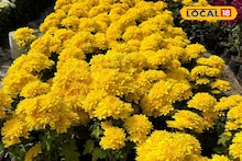 East Bardhaman News: সুখবর! এবার বাড়িতে বসেই পেয়ে যাবেন ফুলের চারা! কীভাবে অর্ডার করবেন অনলাইনে, জানুন