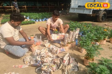 সুখবর! এবার বাড়িতে বসেই পেয়ে যাবেন ফুলের চারা! কীভাবে অর্ডার করবেন অনলাইনে, জানুন সুখবর! এবার বাড়িতে বসেই পেয়ে যাবেন ফুলের চারা! কীভাবে অর্ডার করবেন অনলাইনে, জানুন