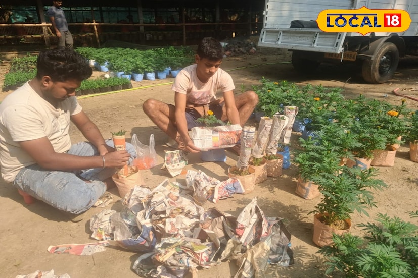 আর শুধু অফলাইনেই নয়, এখন অনলাইনেও পাওয়া যাচ্ছে গাছের চারা। পূর্বস্থলীর নার্সারিগুলি ক্রমশ আধুনিক কৌশলে এগোচ্ছে। পূর্ব বর্ধমান তথা গোটা রাজ্যের নার্সারি শিল্পের নাম এলেই সবার আগে মনে পড়ে পূর্বস্থলীর কথা। এখানকার প্রায় প্রতিটি পরিবারই কোন না কোনভাবে যুক্ত এই শিল্পের সঙ্গে।তথ্য ও ছবি: বনোয়ারীলাল চৌধুরী আর শুধু অফলাইনেই নয়, এখন অনলাইনেও পাওয়া যাচ্ছে গাছের চারা। পূর্বস্থলীর নার্সারিগুলি ক্রমশ আধুনিক কৌশলে এগোচ্ছে। পূর্ব বর্ধমান তথা গোটা রাজ্যের নার্সারি শিল্পের নাম এলেই সবার আগে মনে পড়ে পূর্বস্থলীর কথা। এখানকার প্রায় প্রতিটি পরিবারই কোন না কোনভাবে যুক্ত এই শিল্পের সঙ্গে।তথ্য ও ছবি: বনোয়ারীলাল চৌধুরী